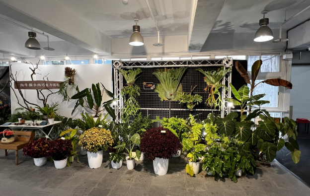 flowers-farmers-2-3