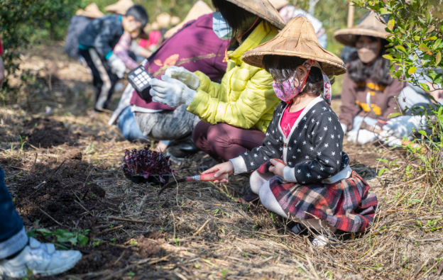 vegetable-farmers-11-2