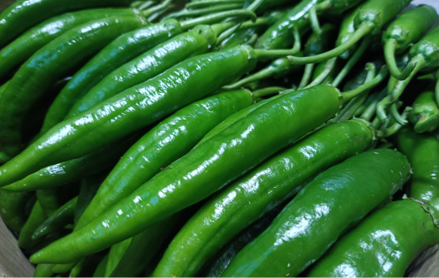 vegetable-farmers-2-1