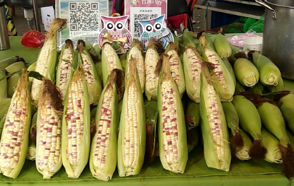 vegetable-farmers-5-1