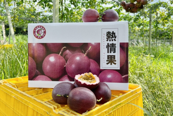 vegetable-farmers-13-4 vegetable-farmers-13-4